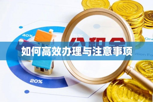 金东如何高效办理与注意事项