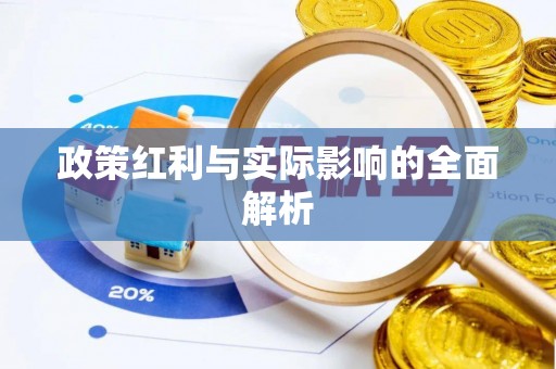 金东政策红利与实际影响的全面解析