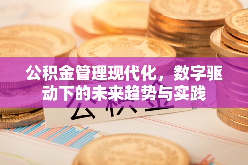 金东公积金管理现代化，数字驱动下的未来趋势与实践