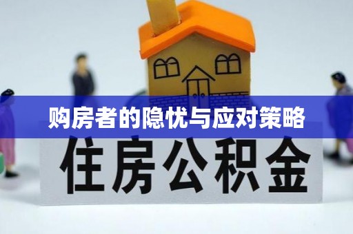 金东购房者的隐忧与应对策略