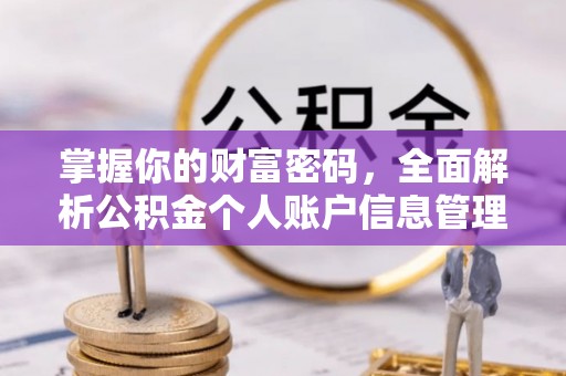 金东掌握你的财富密码，全面解析公积金个人账户信息管理与优化