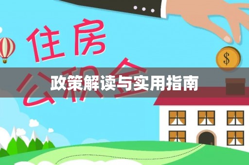 金东政策解读与实用指南
