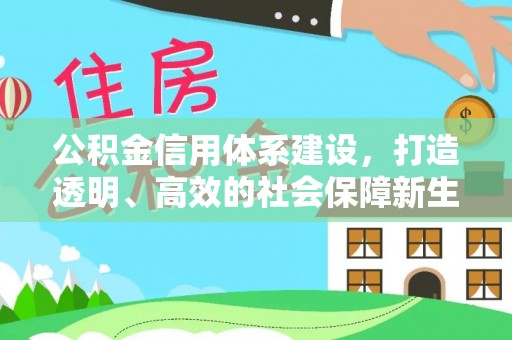 金东公积金信用体系建设，打造透明、高效的社会保障新生态