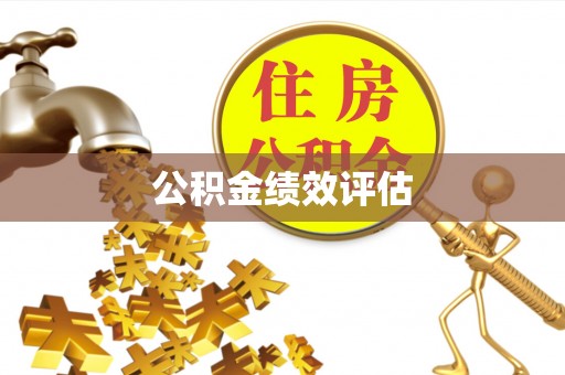 金东公积金绩效评估