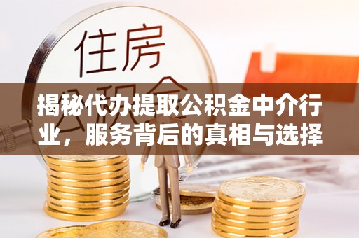 金东揭秘代办提取公积金中介行业，服务背后的真相与选择指南