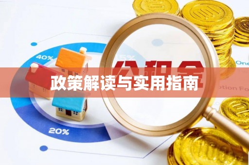 金东政策解读与实用指南