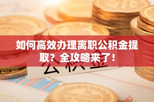 金东如何高效办理离职公积金提取？全攻略来了！