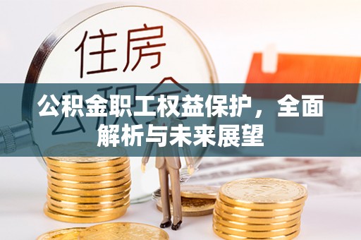 金东公积金职工权益保护，全面解析与未来展望