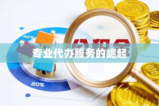 金东专业代办服务的崛起