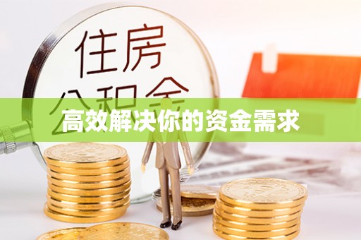 金东高效解决你的资金需求